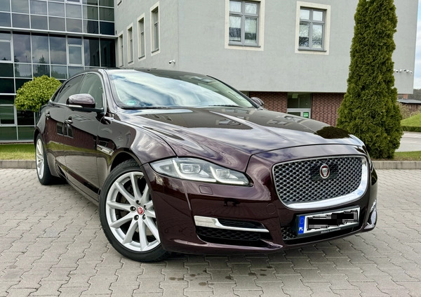 Jaguar XJ cena 109000 przebieg: 205000, rok produkcji 2016 z Wałbrzych małe 121